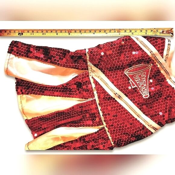 Small Dog Harness and Cheer Costume - Picture 2 of 8